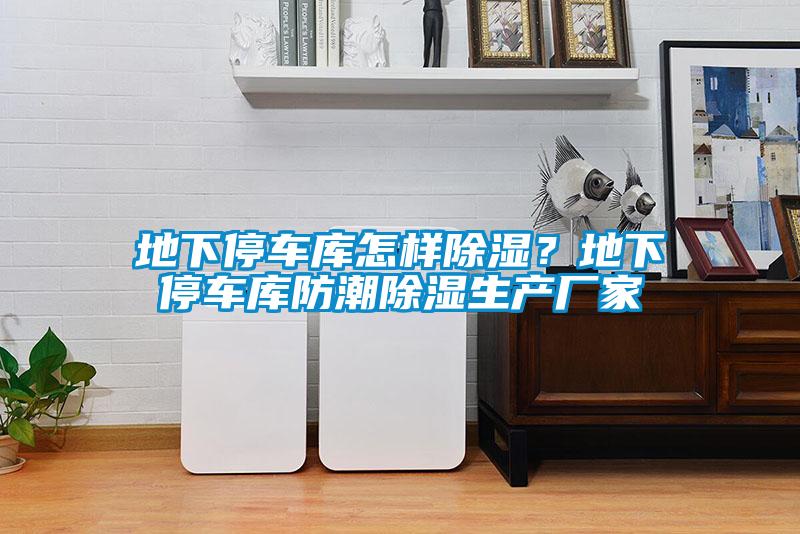 地下停車(chē)庫怎樣除濕？地下停車(chē)庫防潮除濕生產(chǎn)廠(chǎng)家