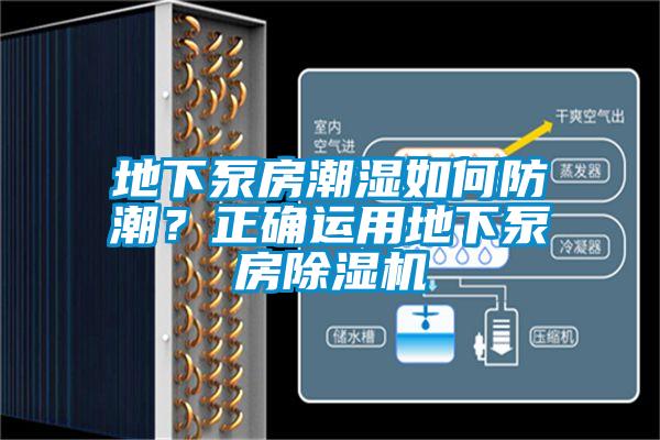地下泵房潮濕如何防潮？正確運用地下泵房除濕機