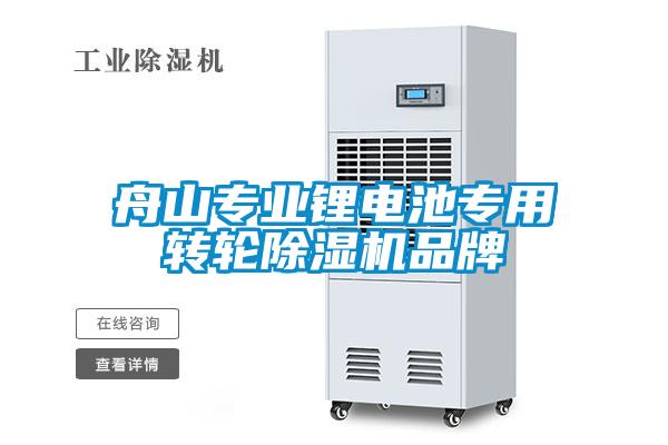 舟山專(zhuān)業(yè)鋰電池專(zhuān)用轉輪除濕機品牌