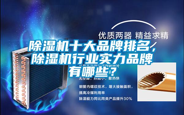 除濕機十大品牌排名，除濕機行業(yè)實(shí)力品牌有哪些？