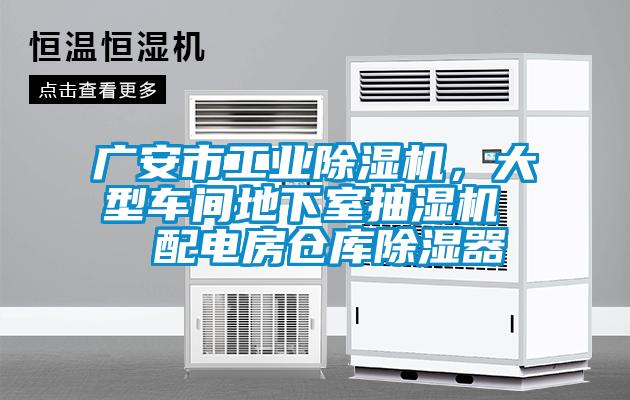 廣安市工業(yè)除濕機，大型車(chē)間地下室抽濕機  配電房倉庫除濕器