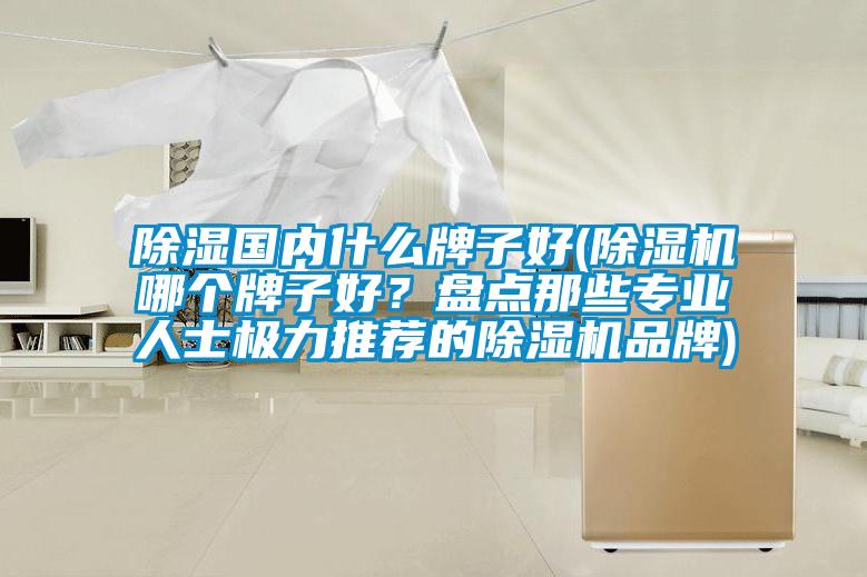 除濕國內什么牌子好(除濕機哪個(gè)牌子好？盤(pán)點(diǎn)那些專(zhuān)業(yè)人士極力推薦的除濕機品牌)