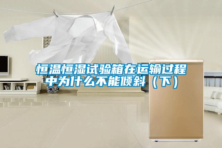 恒溫恒濕試驗箱在運輸過(guò)程中為什么不能傾斜（下）