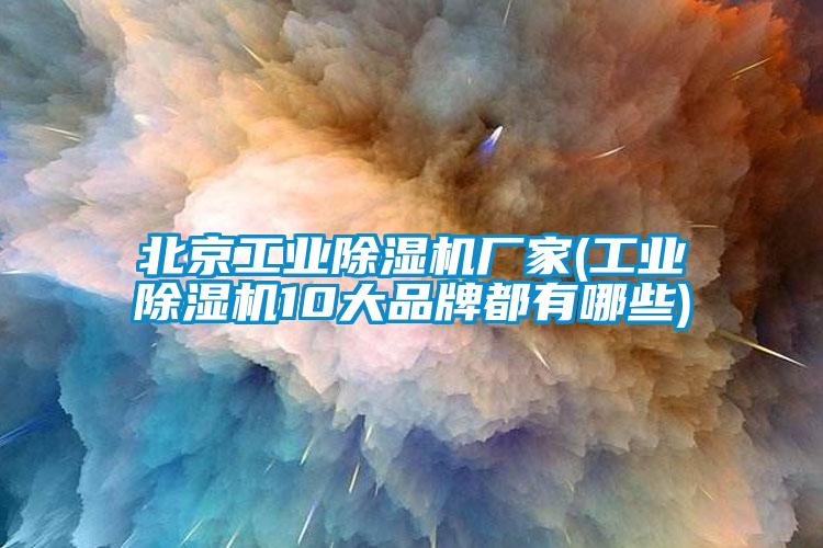 北京工業(yè)除濕機廠(chǎng)家(工業(yè)除濕機10大品牌都有哪些)