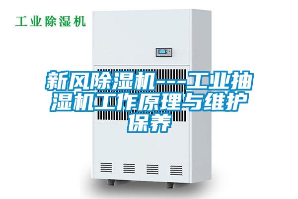新風(fēng)除濕機---工業(yè)抽濕機工作原理與維護保養