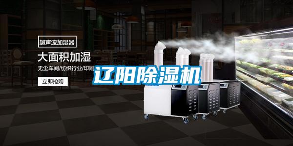遼陽(yáng)除濕機