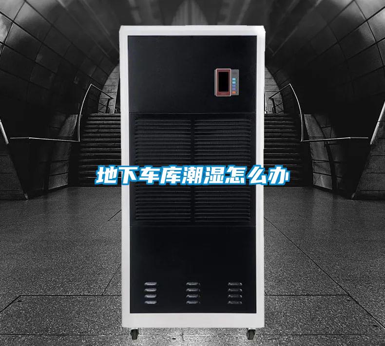 地下車(chē)庫潮濕怎么辦