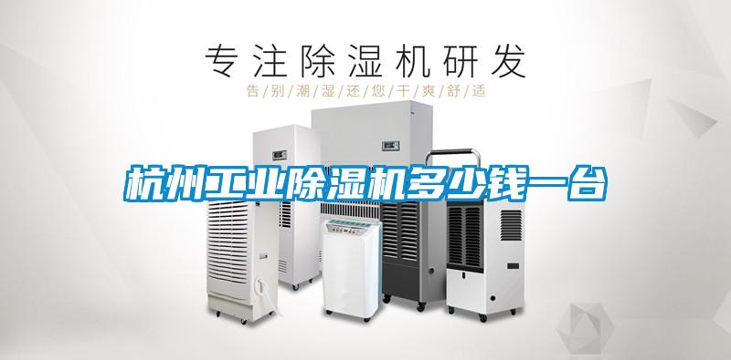 杭州工業(yè)除濕機多少錢(qián)一臺