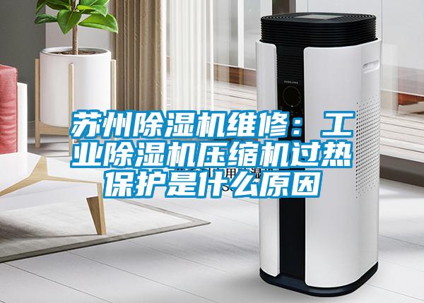 蘇州除濕機維修:工業(yè)除濕機壓縮機過(guò)熱保護是什么原因