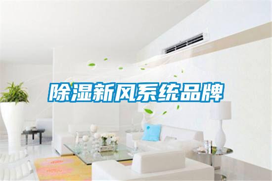 除濕新風(fēng)系統品牌
