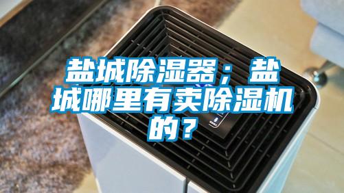 鹽城除濕器；鹽城哪里有賣(mài)除濕機的？