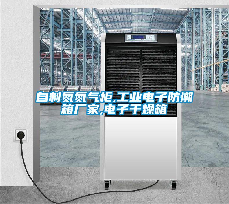 自制氮氮氣柜,工業(yè)電子防潮箱廠(chǎng)家,電子干燥箱