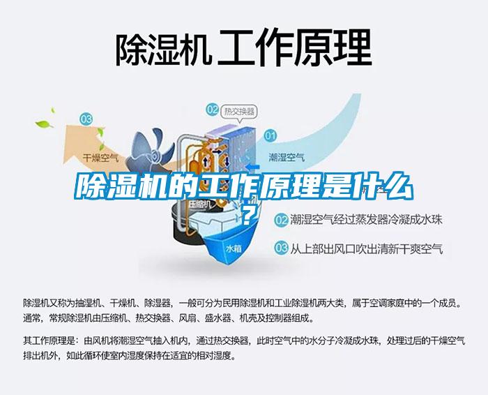 除濕機的工作原理是什么？
