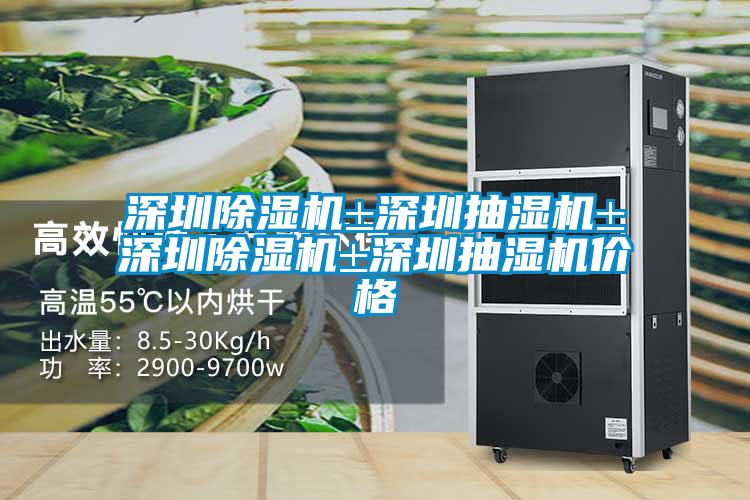 深圳除濕機±深圳抽濕機±深圳除濕機±深圳抽濕機價(jià)格
