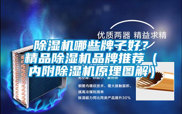 除濕機哪些牌子好？精品除濕機品牌推薦（內附除濕機原理圖解）