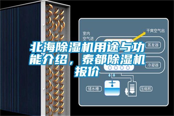 北海除濕機用途與功能介紹，泰都除濕機報價(jià)