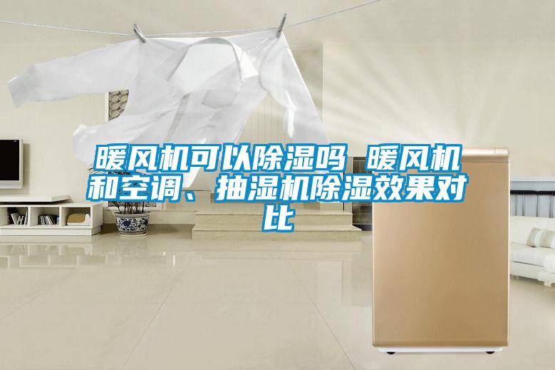 暖風(fēng)機可以除濕嗎 暖風(fēng)機和空調、抽濕機除濕效果對比