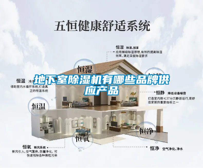 地下室除濕機有哪些品牌供應產(chǎn)品