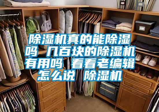 除濕機真的能除濕嗎 幾百塊的除濕機有用嗎 看看老編輯怎么說(shuō) 除濕機