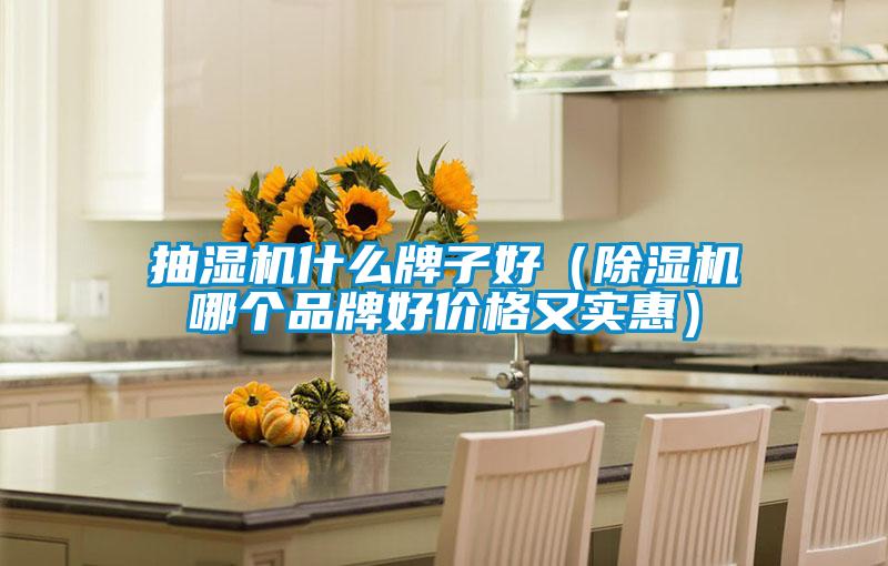 抽濕機什么牌子好（除濕機哪個(gè)品牌好價(jià)格又實(shí)惠）
