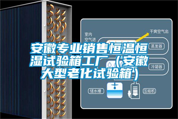 安徽專(zhuān)業(yè)銷(xiāo)售恒溫恒濕試驗箱工廠(chǎng)（安徽大型老化試驗箱）