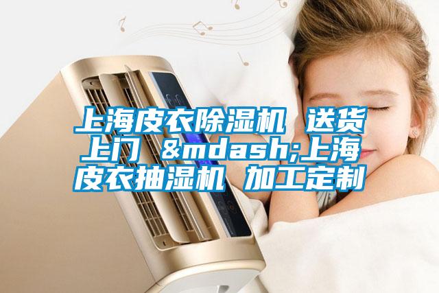 上海皮衣除濕機 送貨上門(mén) —上海皮衣抽濕機 加工定制