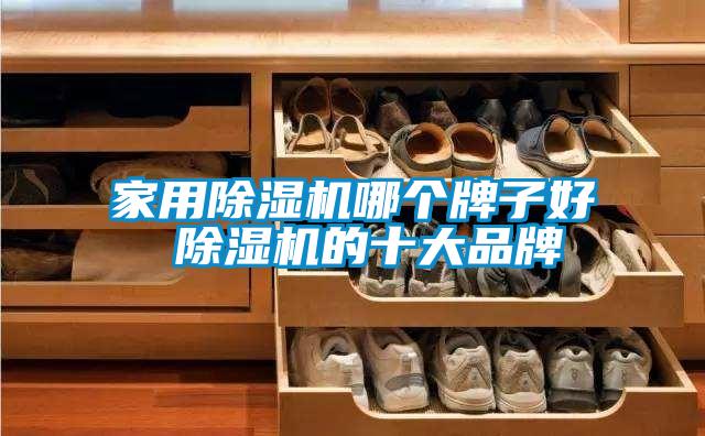 家用除濕機哪個(gè)牌子好 除濕機的十大品牌