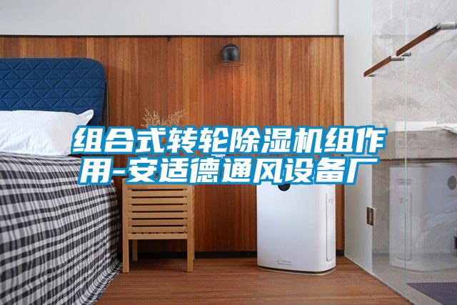 組合式轉輪除濕機組作用-安適德通風(fēng)設備廠(chǎng)