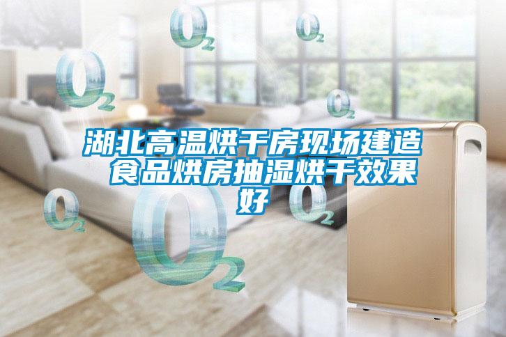 湖北高溫烘干房現場(chǎng)建造 食品烘房抽濕烘干效果好