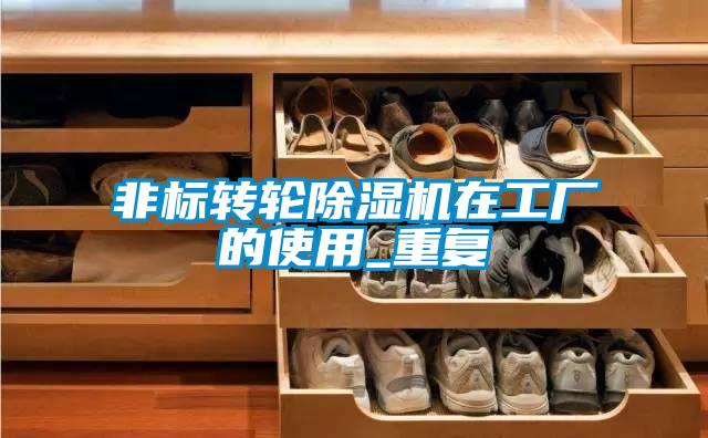 非標轉輪除濕機在工廠(chǎng)的使用_重復