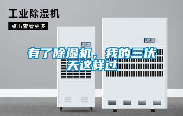 有了除濕機，我的三伏天這樣過(guò)