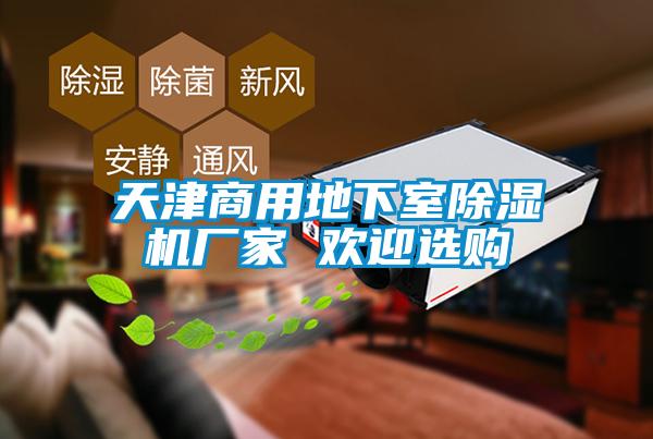 天津商用地下室除濕機廠(chǎng)家 歡迎選購