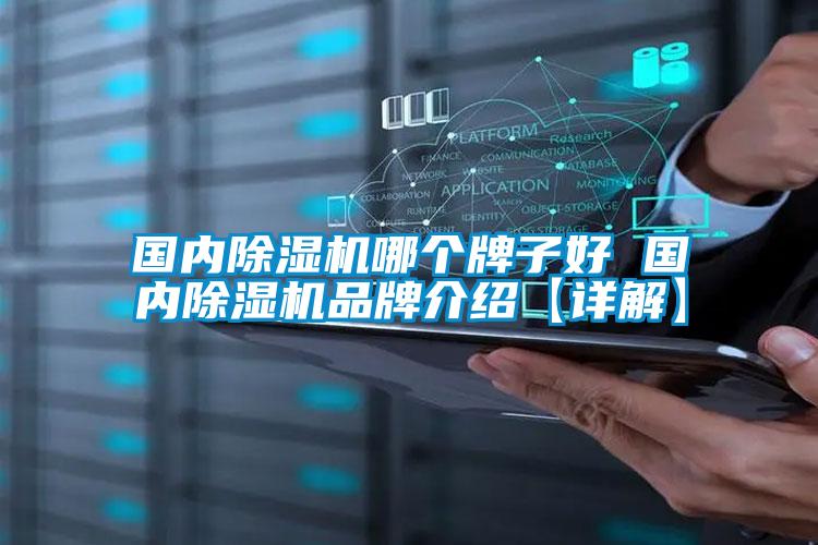 國內除濕機哪個(gè)牌子好 國內除濕機品牌介紹【詳解】