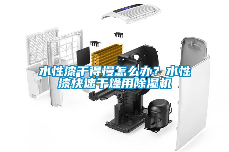 水性漆干得慢怎么辦？水性漆快速干燥用除濕機
