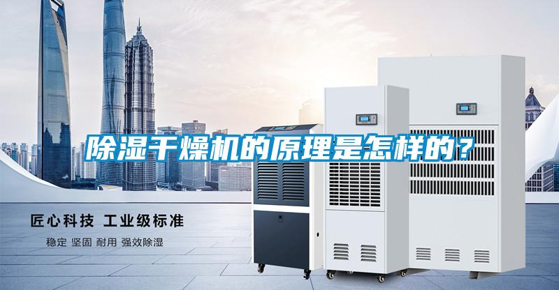 除濕干燥機的原理是怎樣的？