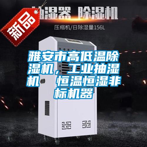 雅安市高低溫除濕機，工業(yè)抽濕機  恒溫恒濕非標機器