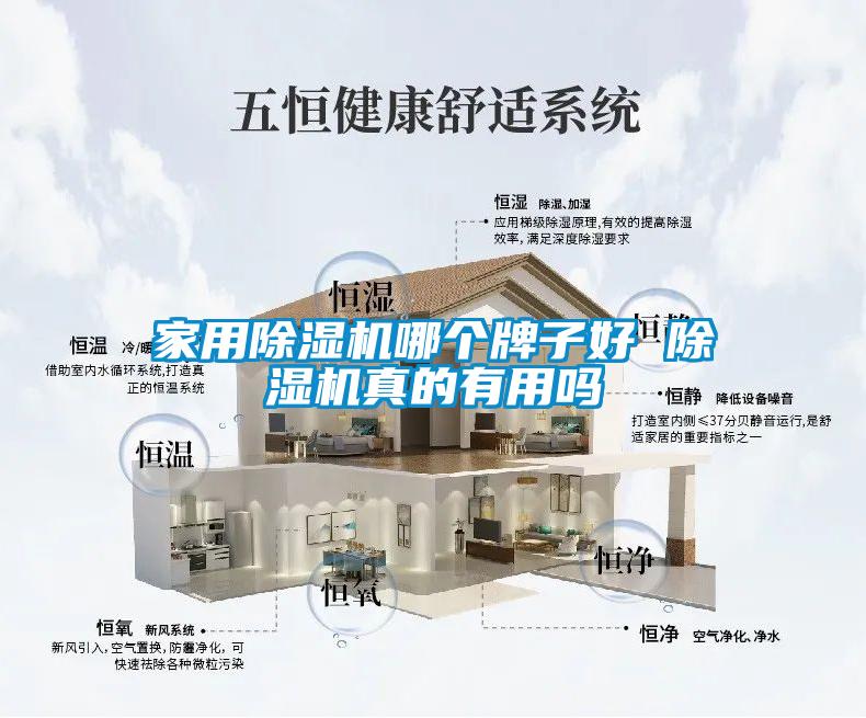 家用除濕機哪個(gè)牌子好 除濕機真的有用嗎