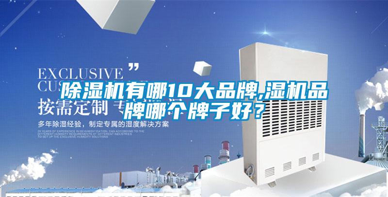 除濕機有哪10大品牌,濕機品牌哪個(gè)牌子好？