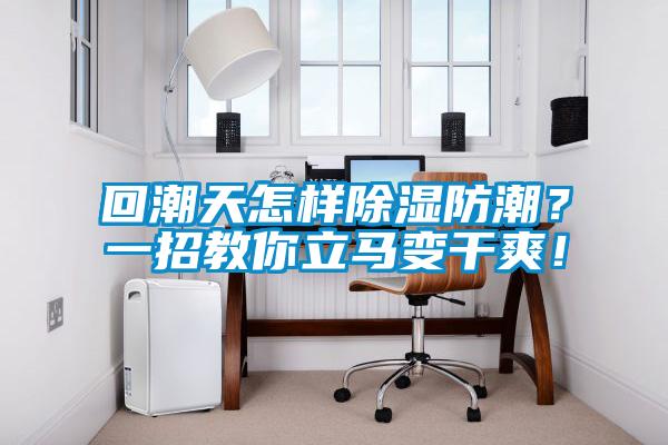 回潮天怎樣除濕防潮？一招教你立馬變干爽！