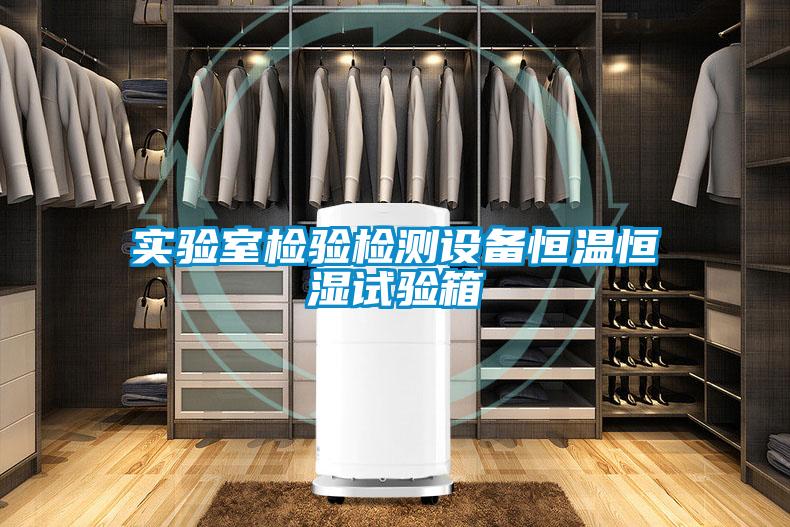 實(shí)驗室檢驗檢測設備恒溫恒濕試驗箱