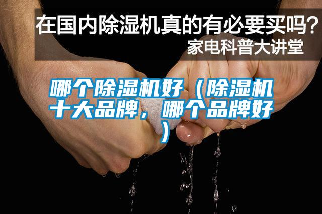 哪個(gè)除濕機好（除濕機十大品牌，哪個(gè)品牌好）