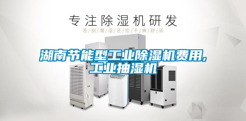 湖南節能型工業(yè)除濕機費用,工業(yè)抽濕機