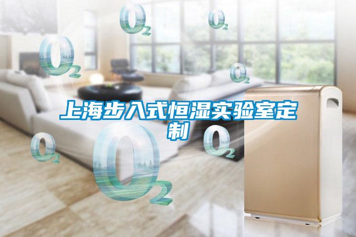 上海步入式恒濕實(shí)驗室定制