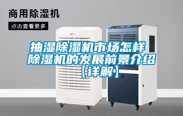 抽濕除濕機市場(chǎng)怎樣 除濕機的發(fā)展前景介紹【詳解】
