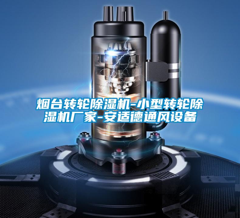 煙臺轉輪除濕機-小型轉輪除濕機廠(chǎng)家-安適德通風(fēng)設備
