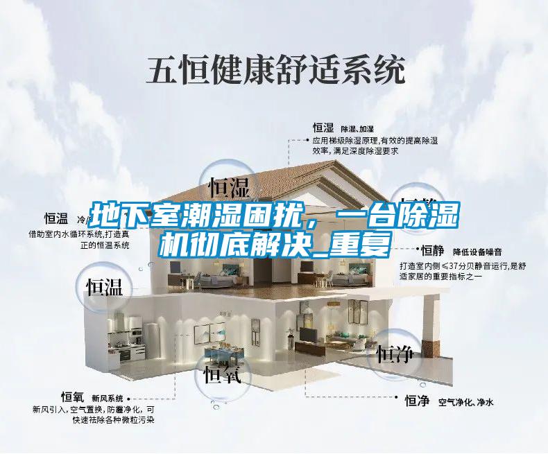 地下室潮濕困擾，一臺除濕機徹底解決_重復
