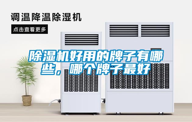 除濕機好用的牌子有哪些，哪個(gè)牌子最好