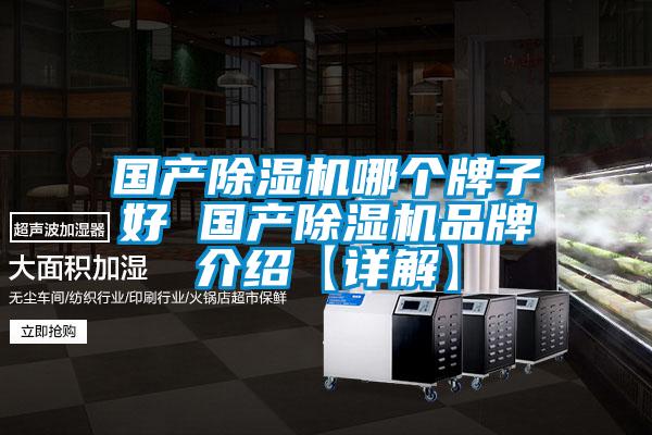 國產(chǎn)除濕機哪個(gè)牌子好 國產(chǎn)除濕機品牌介紹【詳解】
