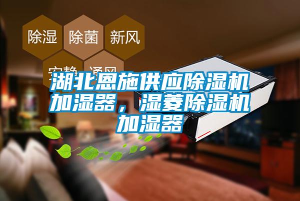 湖北恩施供應除濕機加濕器，濕菱除濕機加濕器