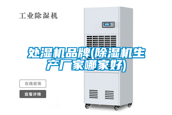 處濕機品牌(除濕機生產(chǎn)廠(chǎng)家哪家好)